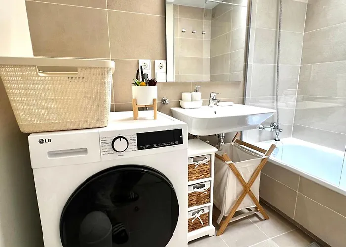 Vacarly 圣克鲁斯-德特内里费